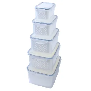 Homestic ( Pack of 5 Food Containers | Storage Box for Fridge | Vegetable Fruit Boxes | Refrigerator Storage Box | Containers With Airtight Lid | Strainer Basket | HXP00290 | Transparent