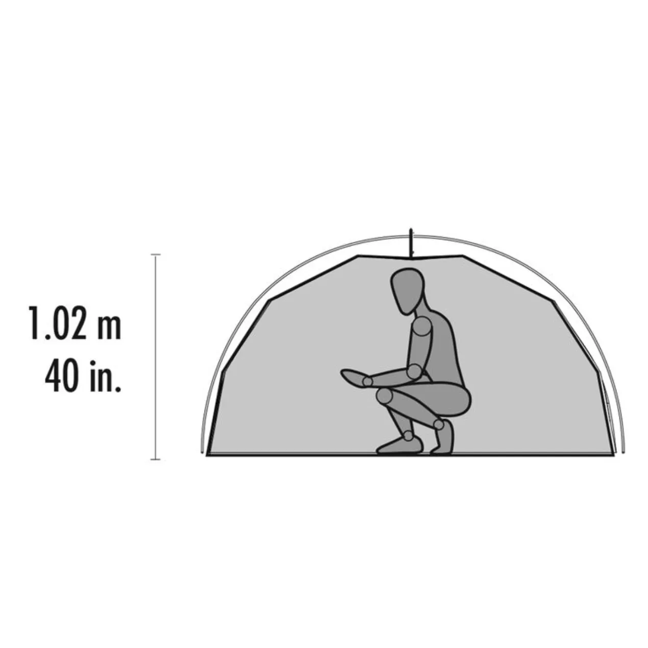 RENTAL MSR Elixir 2 Backpacking Tent