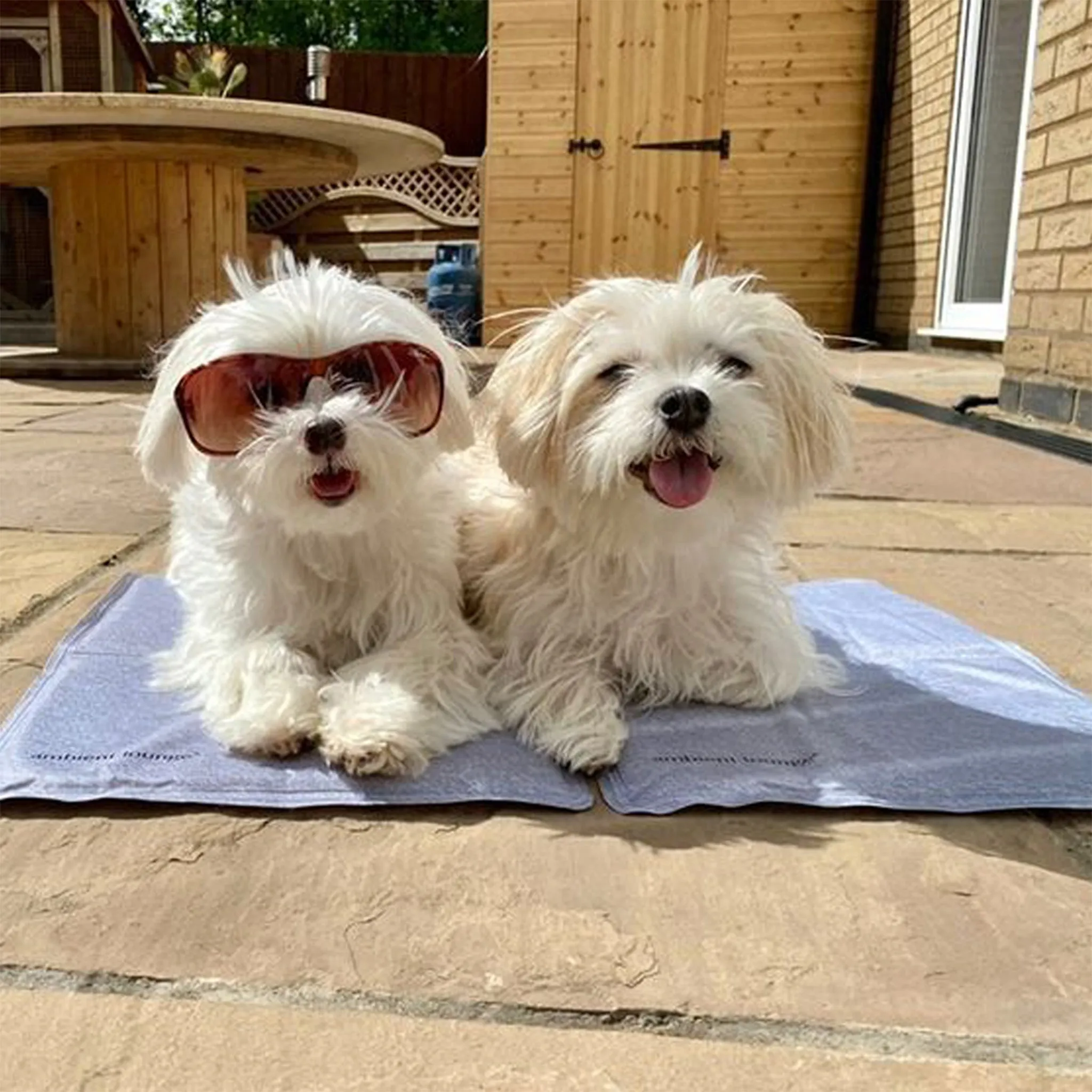 Small ThermoCool Multi-Purpose Dog Mat