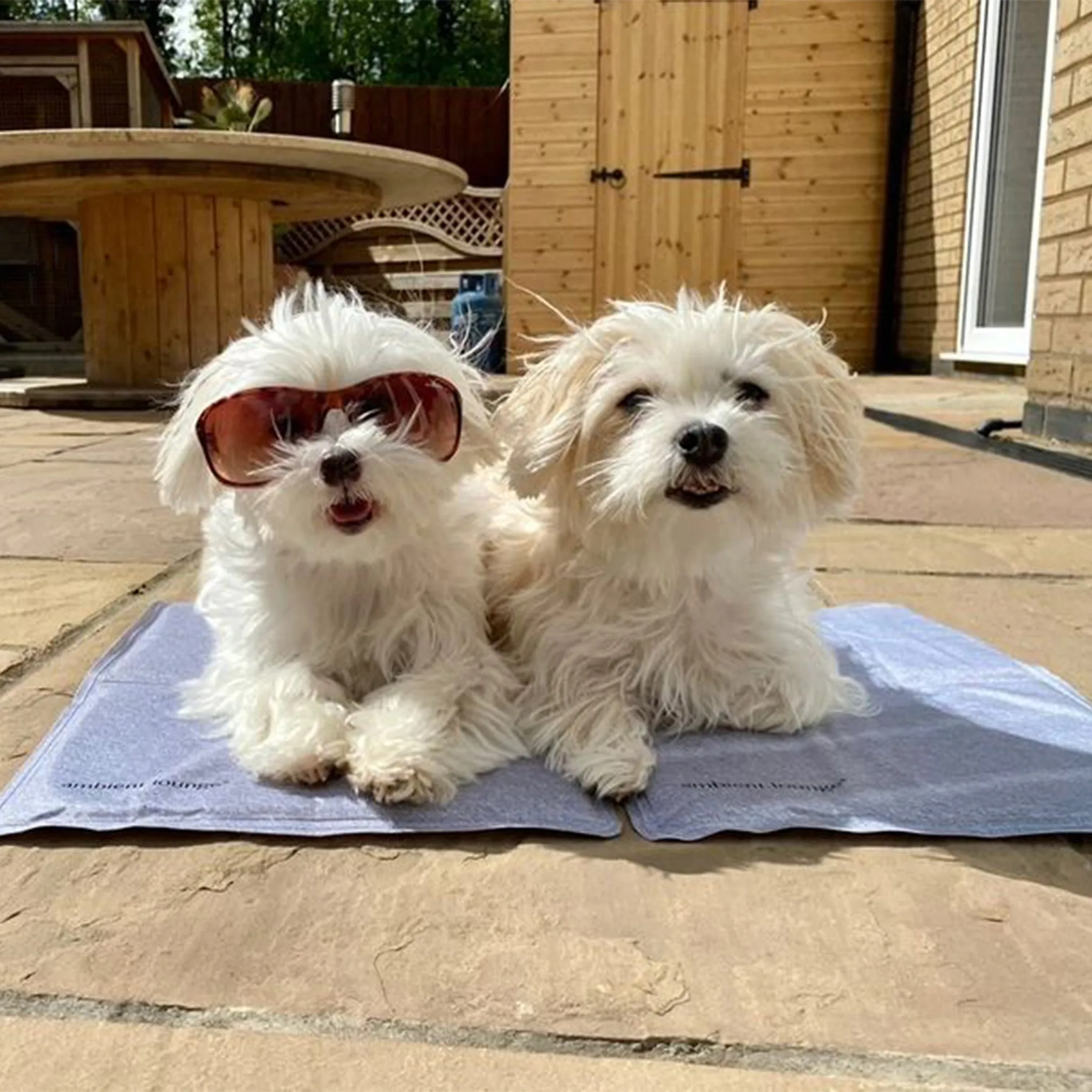 Small ThermoCool Multi-Purpose Dog Mat