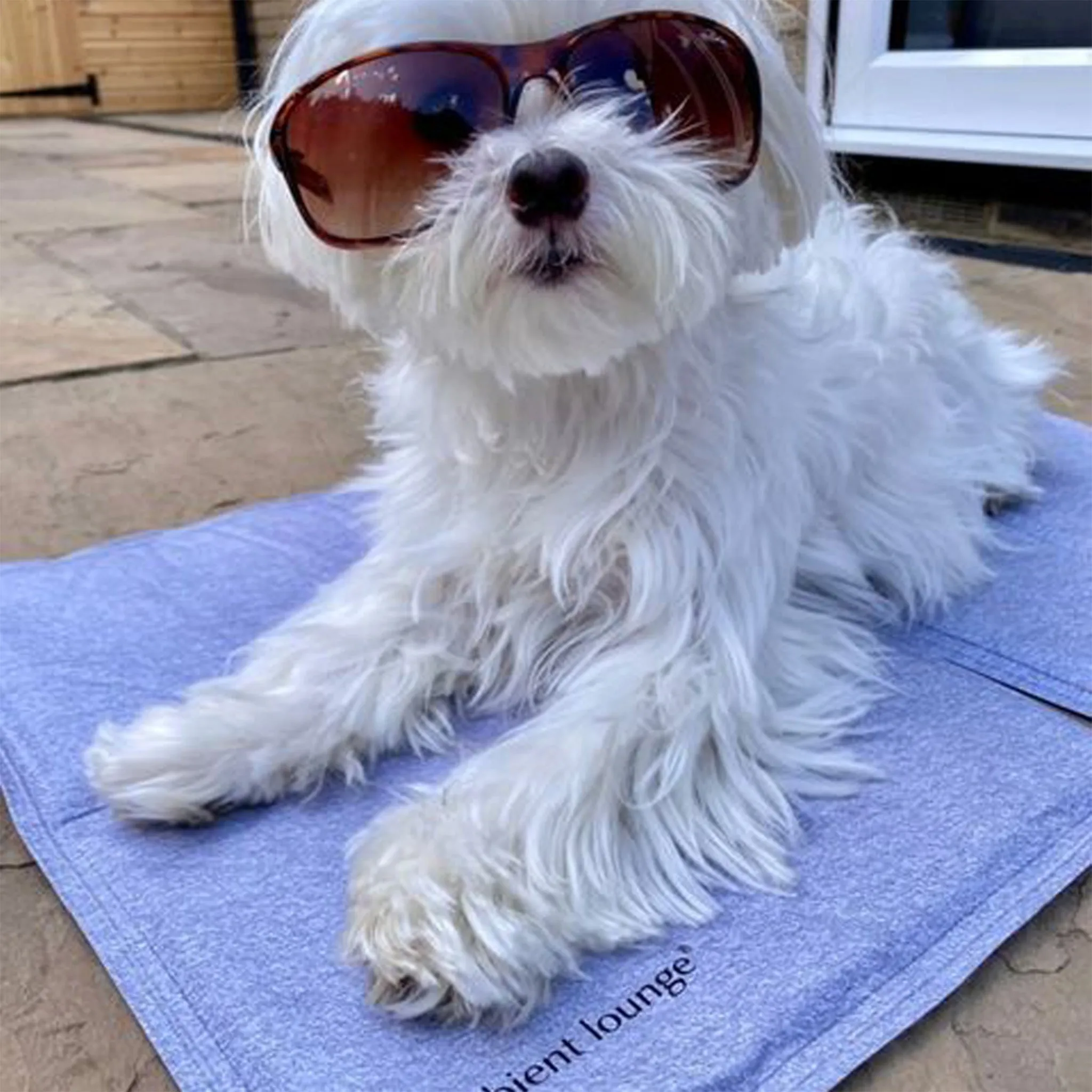 Small ThermoCool Multi-Purpose Dog Mat